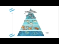 Exploring Energy Pyramids in Ecosystems