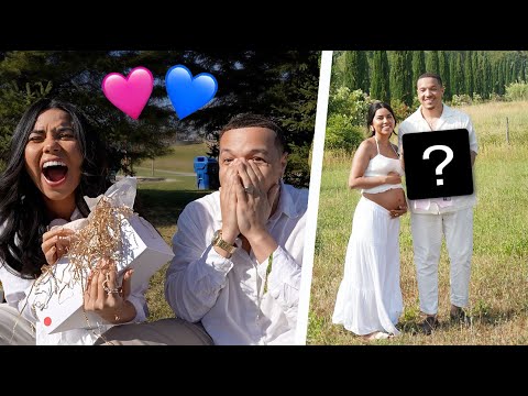 OUR GENDER REVEAL!