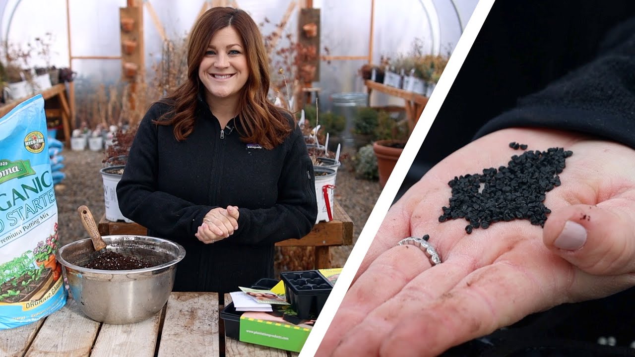 How to Start Onion Seeds Indoors!