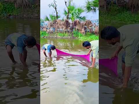 #shorts #viral #trending #funny #comedy #cartoon #viralvideo #video #viralshorts #shortvideo