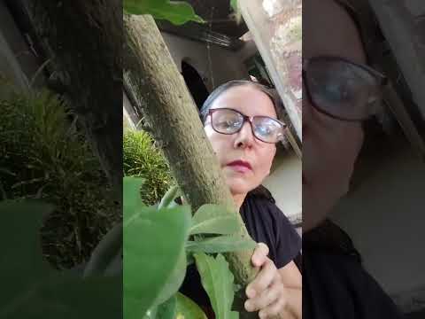 ! Mira! Que chistosos se fueron de paseo