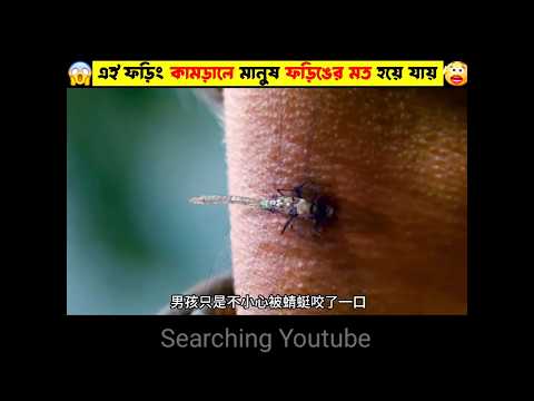 কামড়ালেই মৃর্তু🤔 || Mini Wood Telephone || Woodworking Art skill || Wood Carving #shorts
