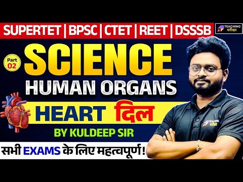 Human Heart - Structure, Function & Anatomy | Science for CTET, UPTET, BPSC, KVS, REET & SuperTET