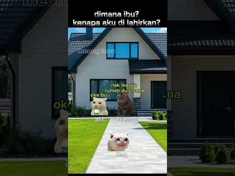 dimana ibu? kenapa aku dilahirkan?(part3) #memecing #kucing #kucinglucu #cat #catsad #catmemes #meme