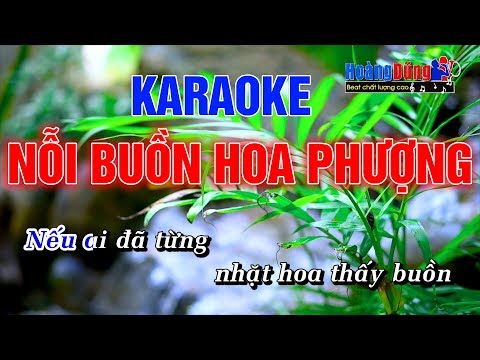 Nỗi Buồn Hoa Phượng Karaoke Tone Nam – Hoàng Dũng Karaoke