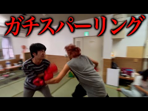 あきらくんvsKemono ボクシング対決