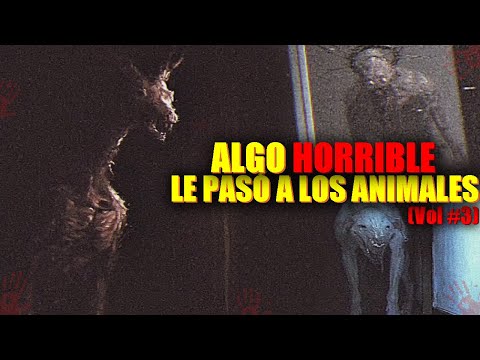 ALGO HORRlBLE LE HA PASADO A LOS ANlMALES (PARTE #3) - H.o.l.l.o.w F.e.a.r | TwoMilio