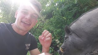 CSODA TÖRTÉNT KODZSEKKEL!?...