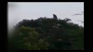 top 5 scary footage