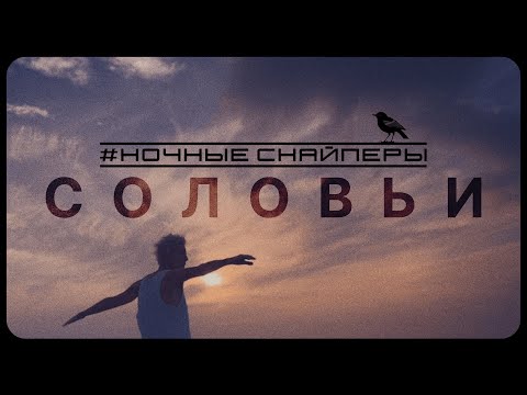 Ночные Снайперы - Соловьи | Премьера клипа 2023