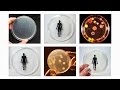 Design Fiction and Synthetic Biology