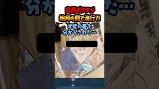 絵師間で流行っている白黒ポテチアートをやってみたらヤバすぎたｗ【みやまる:女性vtuber】#VALORANT #valorantclip #ヴァロラント