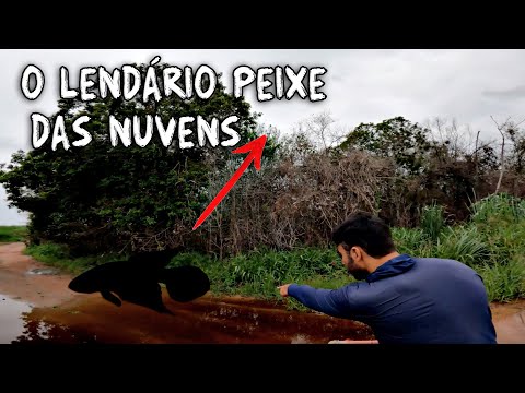 EM BUSCA DO LENDÁRIO PEIXE DAS NUVENS! PARTE 01  #motovlog #pesca #aventura