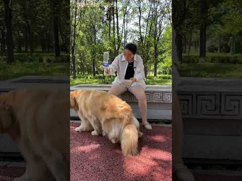 प्यासे dog 🐕 को पानी पिलाई 🥰।। #shorts #factsrajart