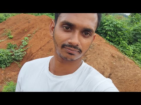 প্রথম বার ব্লগ বানানোর চেষ্টা করলাম | I tried to create a blog for the first time