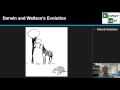 Evolutionary Theories and Natural Selection