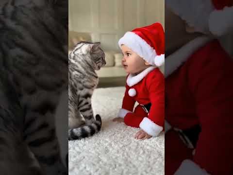 Baby Santa Starts Arguing with a Cat ! ๐๐ฑ๐
#Shorts #Baby #BabySanta #Cute #CatMeow #BabyVsCat #USA