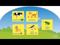 Animal Diets and Habitats