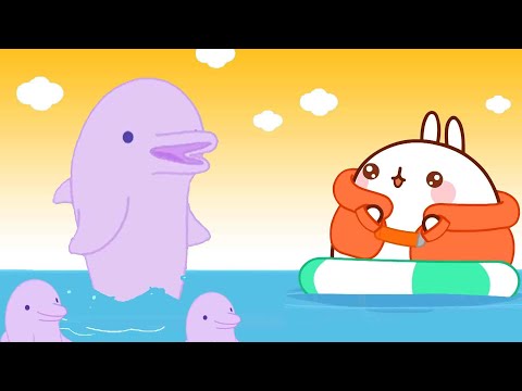 Molang and Piu Piu Caught a Dolphin | Comedy Cartoon | HooplaKidz TV