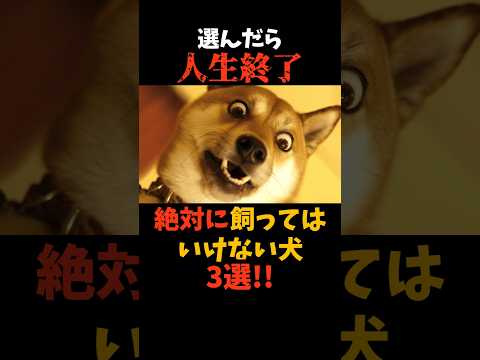 絶対に飼うな！人生が終了する犬3選#shorts