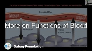 More on Functions of Blood