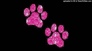 +[FREE]+ *BOUNCY* AYESHA EROTICA X SLAYYYTER TYPE BEAT - "PAWS" +[prod. Michael Link]+