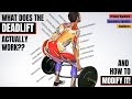 Muscle Functions in Deadlifts