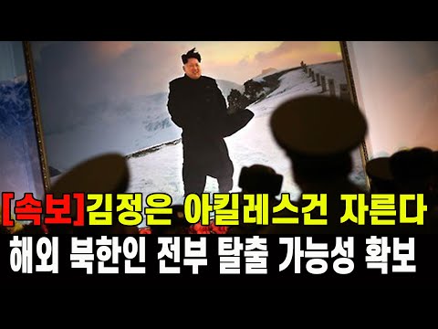 [속보] 김정은 아킬레스건 자른다...해외 북한인 전부 탈출 시킬 가능성 확보