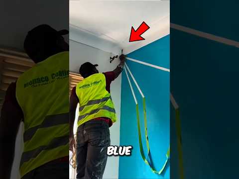 He Turned a Simple Wall Into a Work of Art 😮🎨 #shorts #art