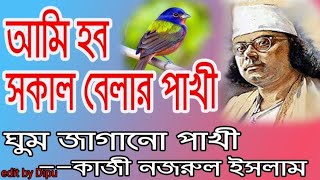 আমি হব solka belar pakhi || kajinurul eslam ||@ChuChuTV  @Infobellsbengalirhymes  viral video