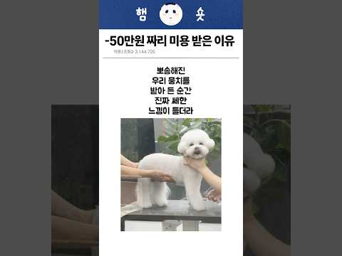 50만원 짜리 미용 받은 이유