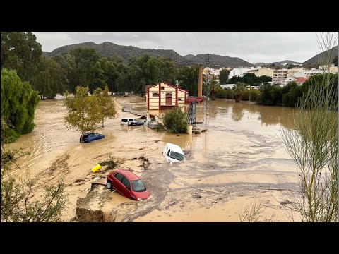 SOBRE LA AYUDA EN MÁLAGA | DANA