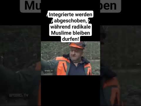Die Logik der Ampel. #deutsch #deutschland #afd #cdu #islam #politik #religion #lustig #fypシ #ampel