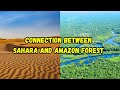 Sahara Amazon Feedback Loop Dynamics
