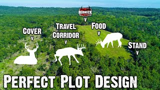 How We Transformed This Hardwood Ridge into a Deer Magnet | Habitat & Hunting Strategy