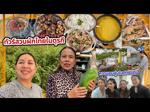 VLOG | พาทัวร์สวนผักไทยใหญ่อลังการที่คนไทยเป็นเจ้าของในตุรกี กินอาหารไทยสุดอบอุ่น