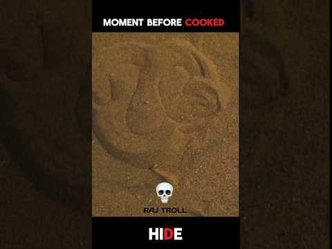 Hide....!