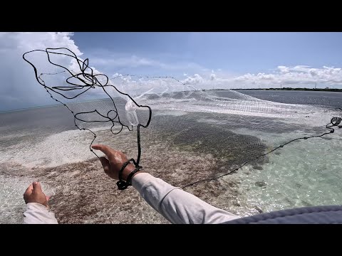 Cast Nets and Florida Keys Bonefish.