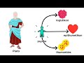 Key Concepts in Psychology