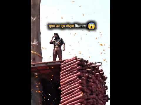 Pushpa ka godown mil gaya bhai #pushpa2 #pushpachapter2