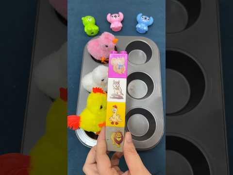 درج بشكل الحيوانات انميل شكلها ظريف 😹 اسد ملك 🤴الغابة ومعاه فرخه صحبته ف الصف يلا نمرح ونطير صوص🐣