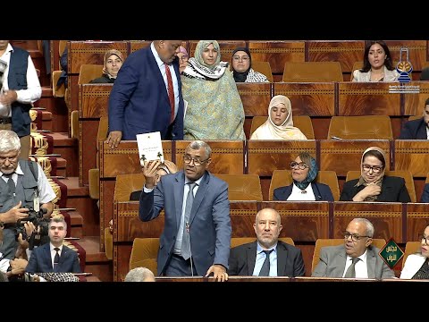 بووانو يدعو لتشكيل "لجنة الوحدة الترابية" وتفعيل لجنة فلسطين بمجلس النواب