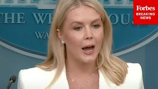 Karoline Leavitt Blasts DEI And Claims Trump Is Seeking A 'Merit-Based' U.S.