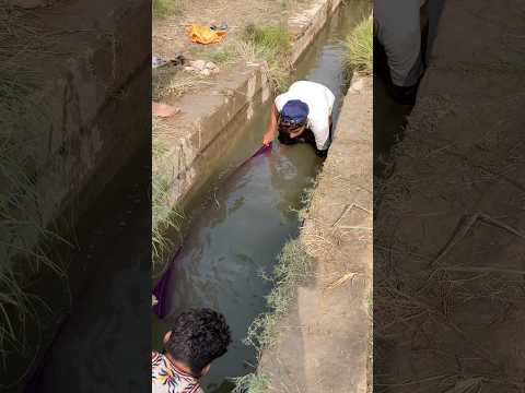 #fishing #fish #Reals viral video