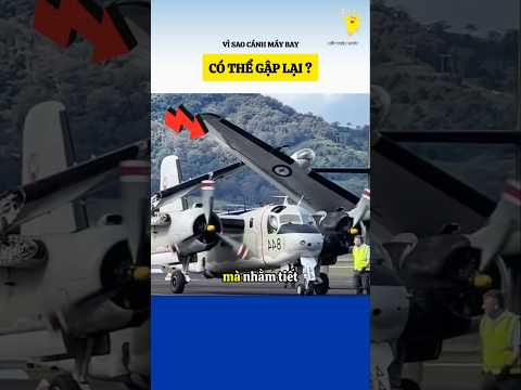 Vì sao cánh của máy bay có thể gập lại ?#bietthemchut