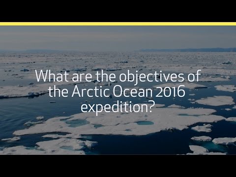 Arctic Ocean 2016 - Mary-Lynn Dickson