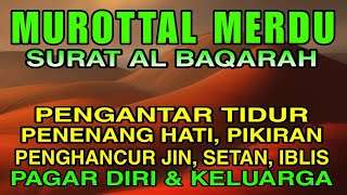 273* Murottal Al Quran Merdu (Alaa Yaser) Penenang Hati & Pikiran, Pelindung Dari Gangguan Jin&Setan