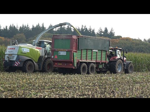 Mais hakselen door loonbedrijf H van Haarst met Claas Jaguar 940 en 2 Case IH Puma trekkers (2024)