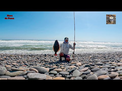 Señuelos Perfectos y Lenguados Brutales en Playa de Piedras – ¡No te lo Pierdas!