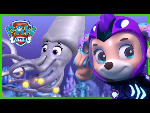 Aqua Pups Stop a Giant Squid - PAW Patrol Episode - Cartoons for Kids